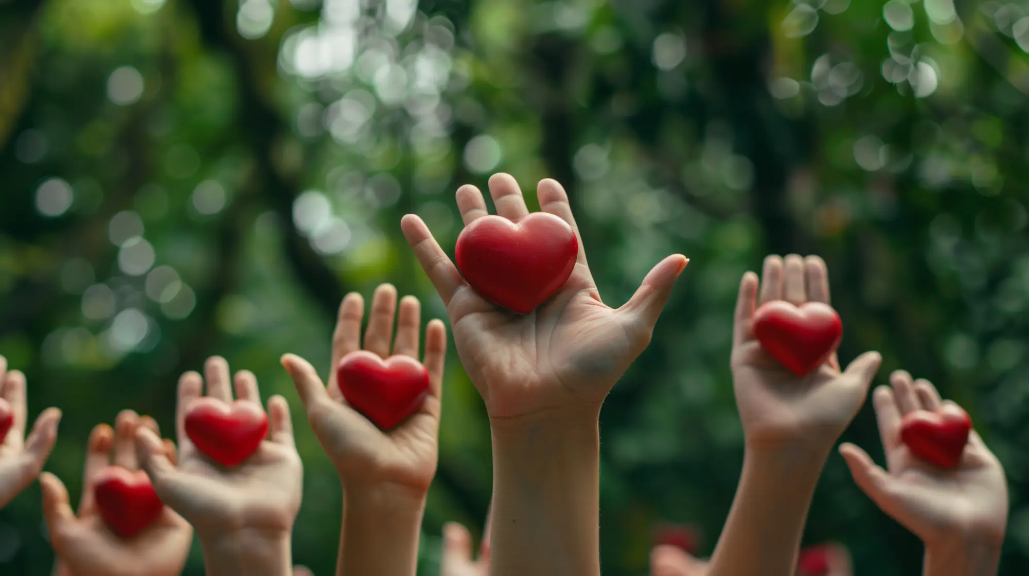 view hands holding red heart represent affection